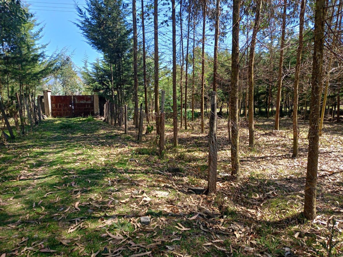 Ignatius tweet media