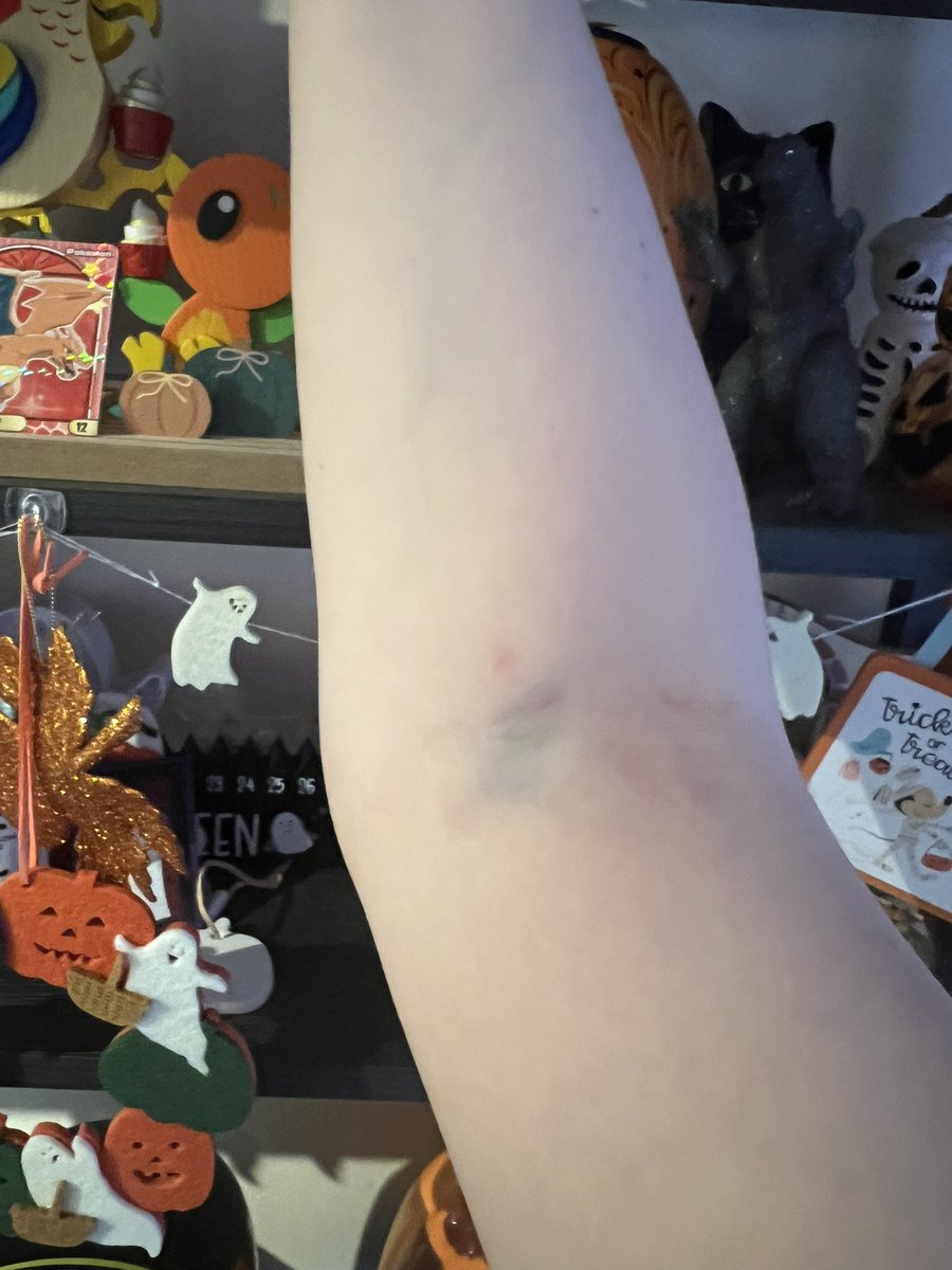 🎃Frenchie Hearts🖤 tweet media