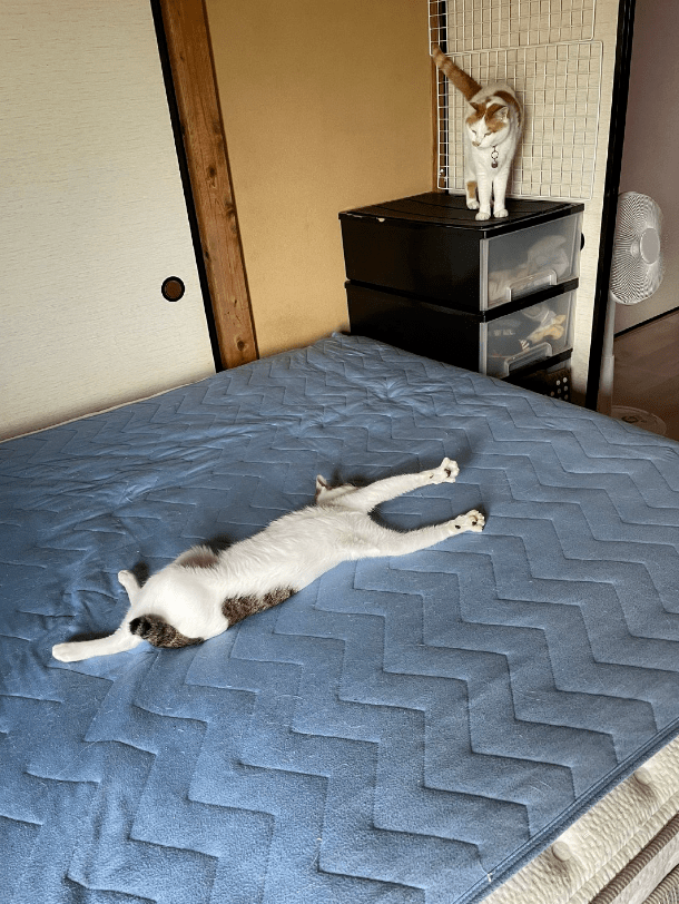 Юлия С tweet media