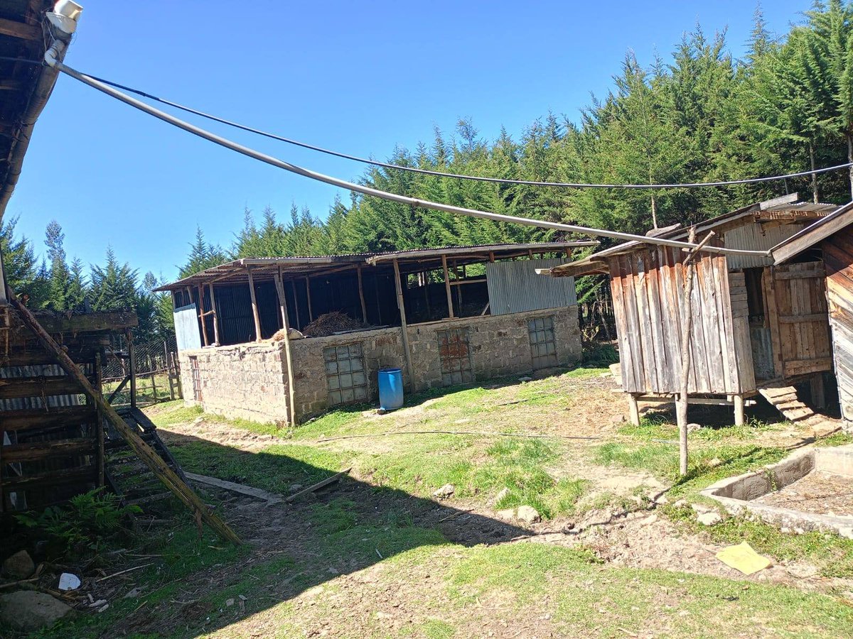 Ignatius tweet media