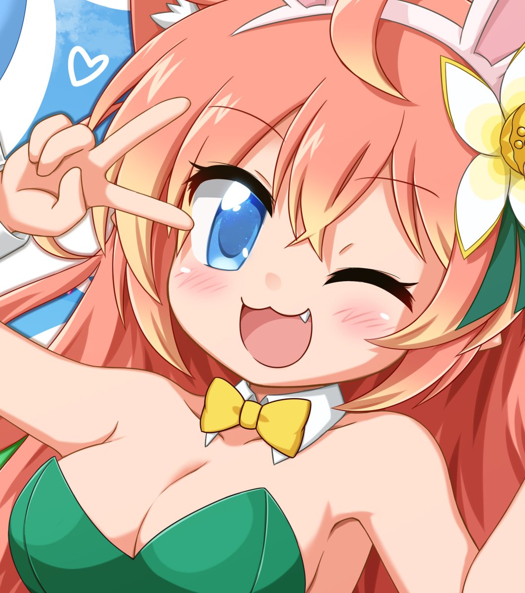 稲塚 春@ハルねこ tweet media