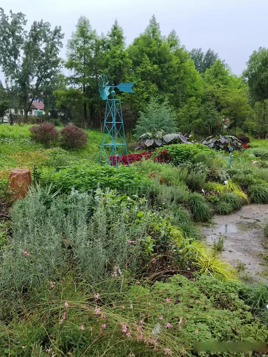 adas zonk tweet media