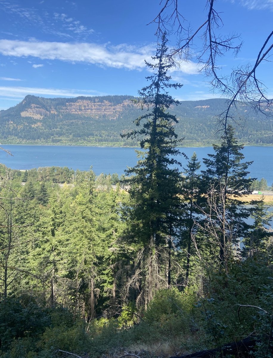 National Center for Science Education tweet media