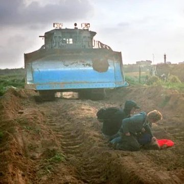 Adi el Grande tweet media