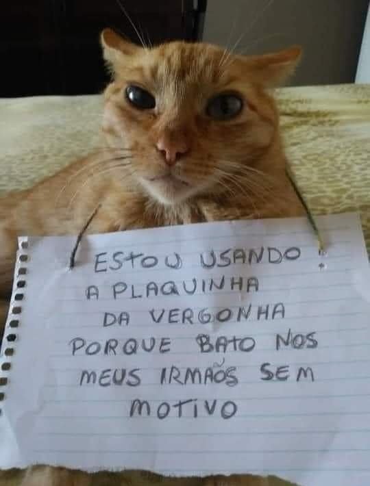 Calvo 😔 tweet media