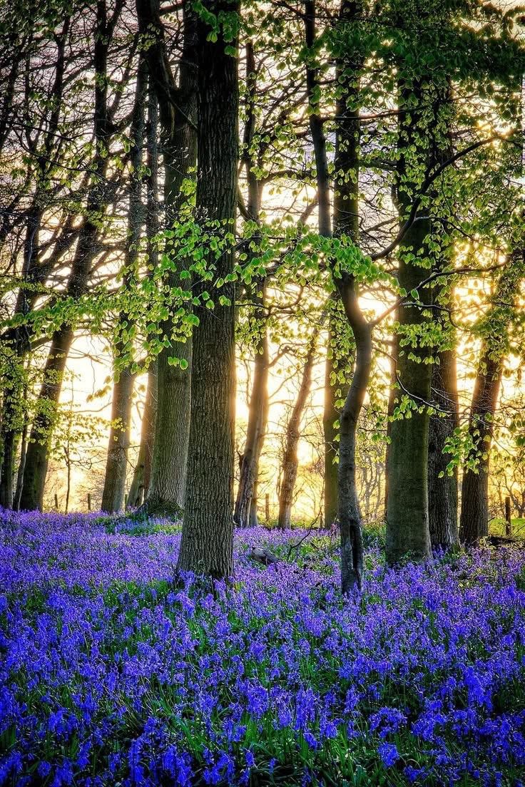 John van de Velde tweet media