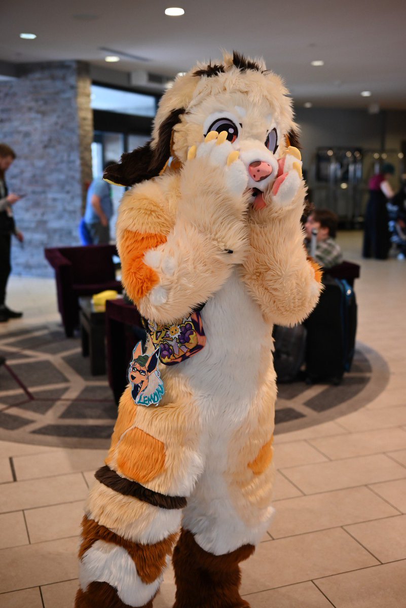LemonHoneyMutt 🔜FWA tweet media