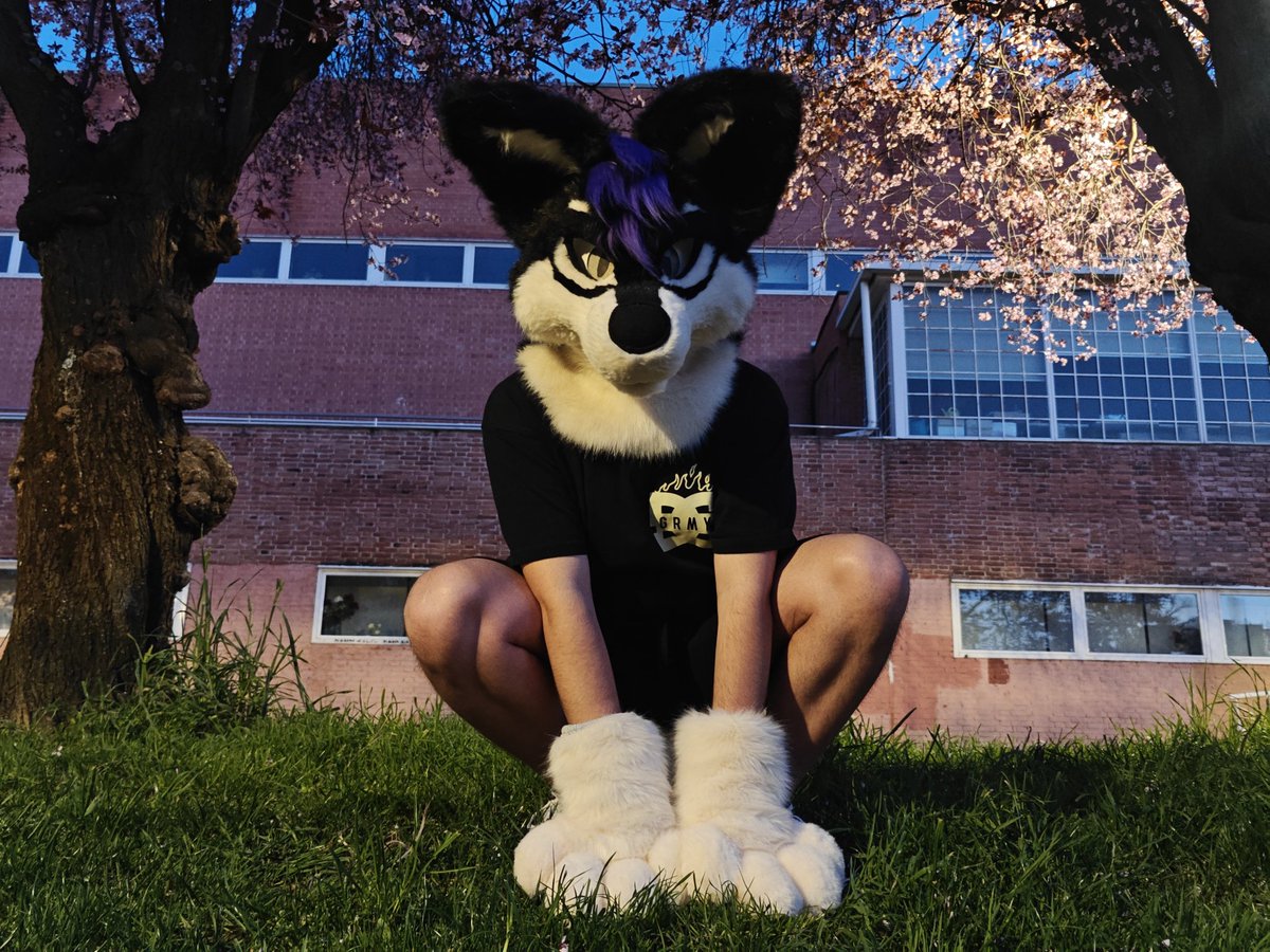 🚨 GOOD BOYS IN YOUR AREA 🚨
CLICK HERE NOW!!!

📸: <a href="/Nordy060/">NordyElias🔜Ibercon</a> (te AMO)
#FursuitFriday