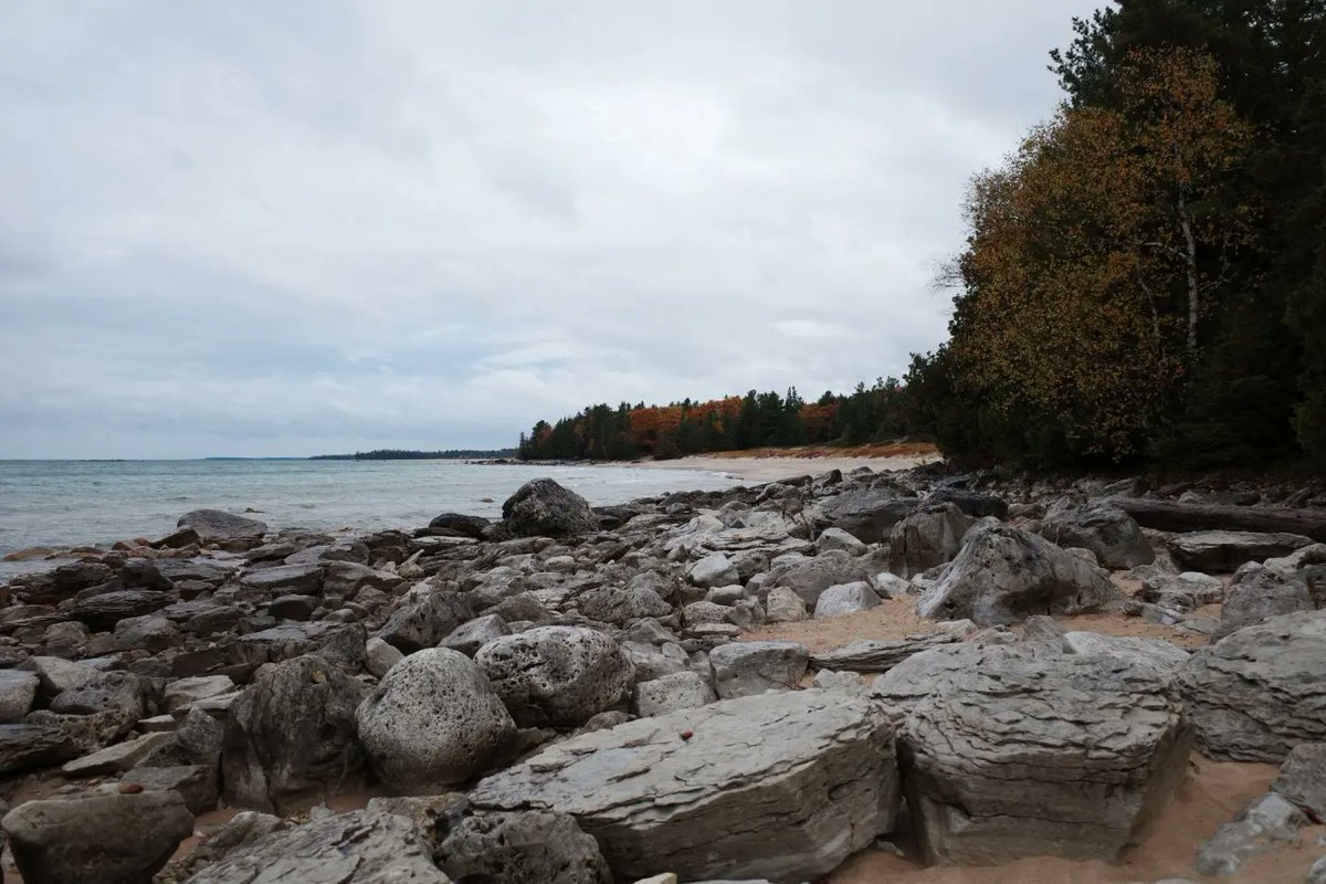 Michigan Enjoyer tweet media