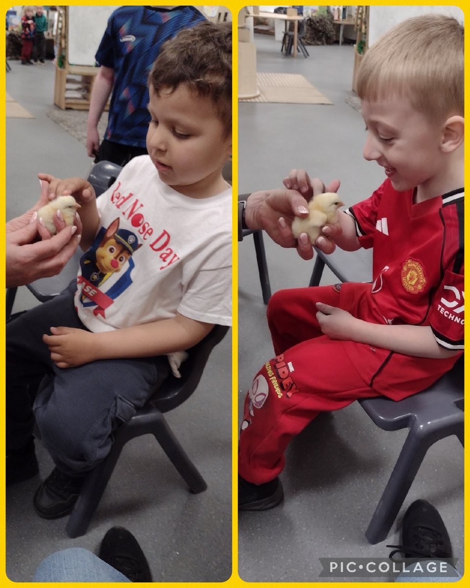 CPickering Primary tweet media