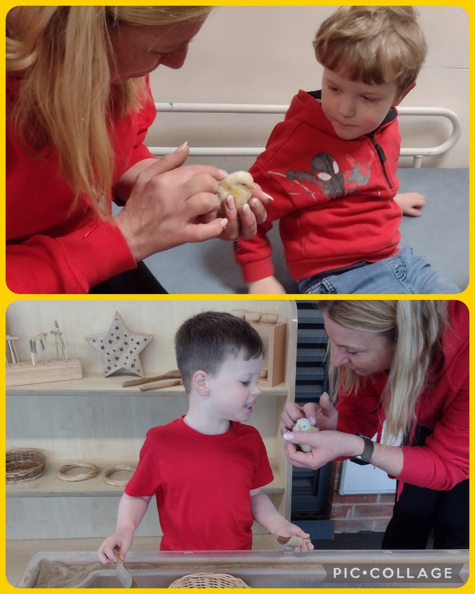 CPickering Primary tweet media