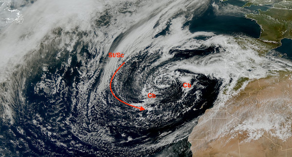 angel rivera tweet media