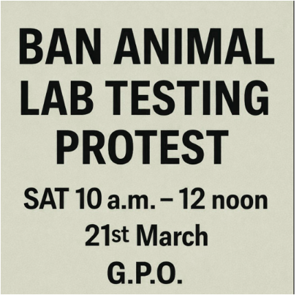 AnimalPartyIE's tweet photo. Please come out and support this Ban Animal Lab Testing #protest tomorrow Saturday from 10am to 12 noon at the #GPO in #DublinCity. Innocent animals truly need your support!
#BanAnimalLabTesting
#BanAnimalTesting
#DublinCentral
#GalwayWest
#Ireland https://t.co/BlDRyjJsF8
