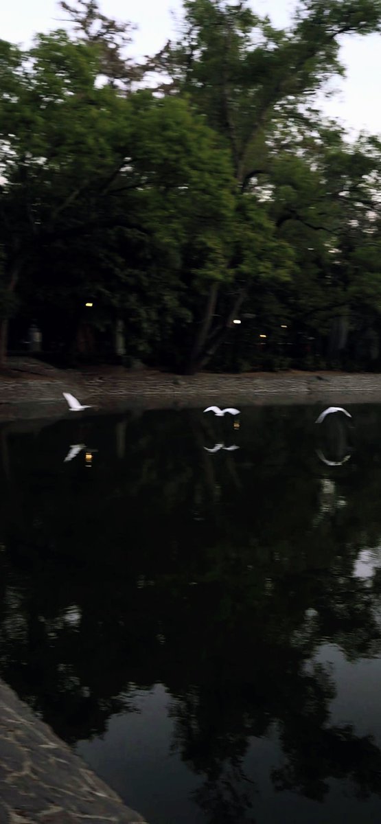 Efren Casas tweet media