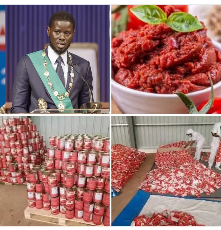 Boluarte Stan Ellie🇺🇦🕊️ tweet media