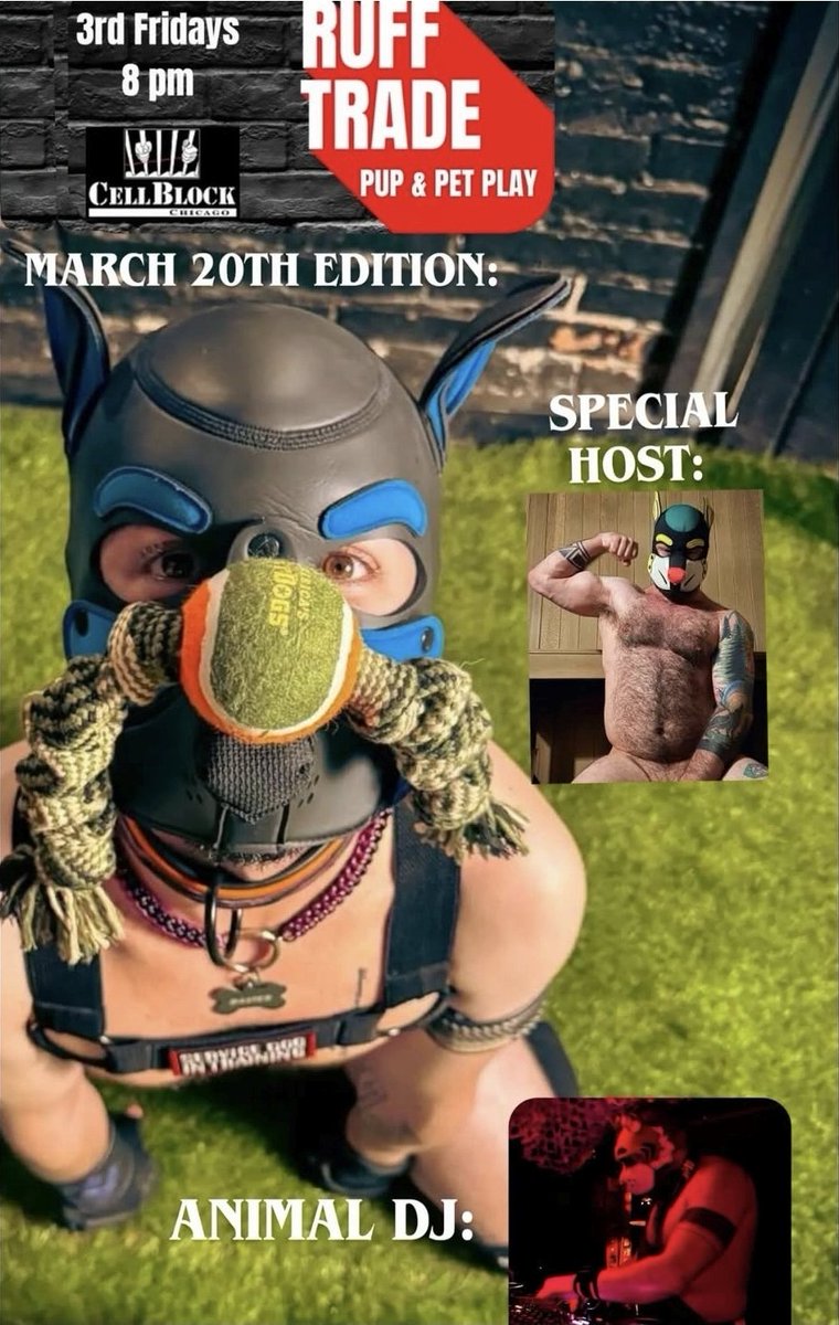 Cell Block Chicago tweet media