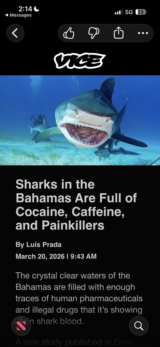 FedProm 💃🏻 tweet media