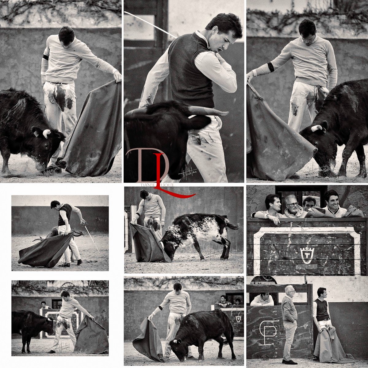 Daniel Luque tweet media