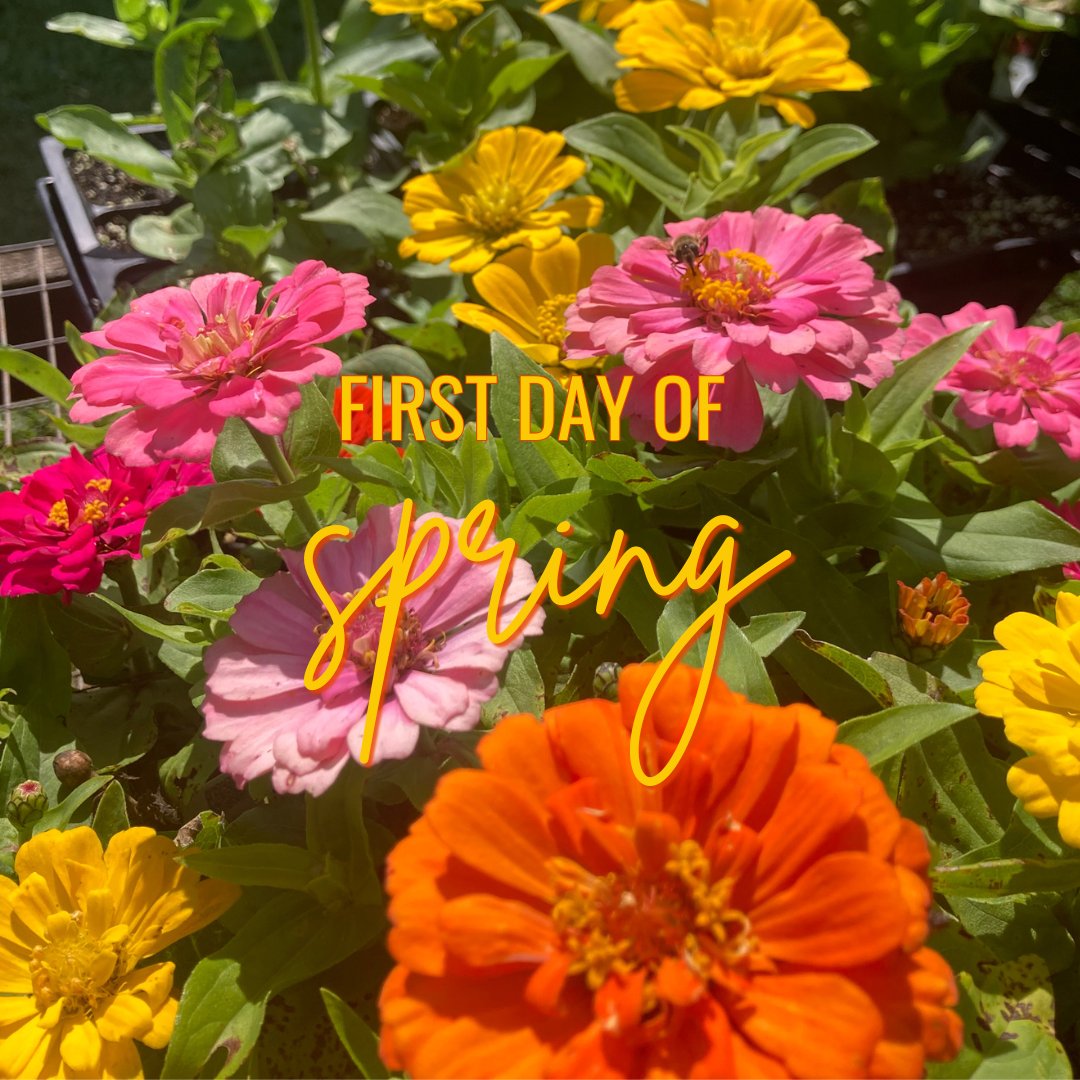 PureCatskills's tweet photo. Today marks the first day of Spring! We are looking forward to warmer weather, longer days, and a jam-packed year of supporting local farm and forest businesses! 

#PureCatskills #Spring https://t.co/s9e780rGMH
