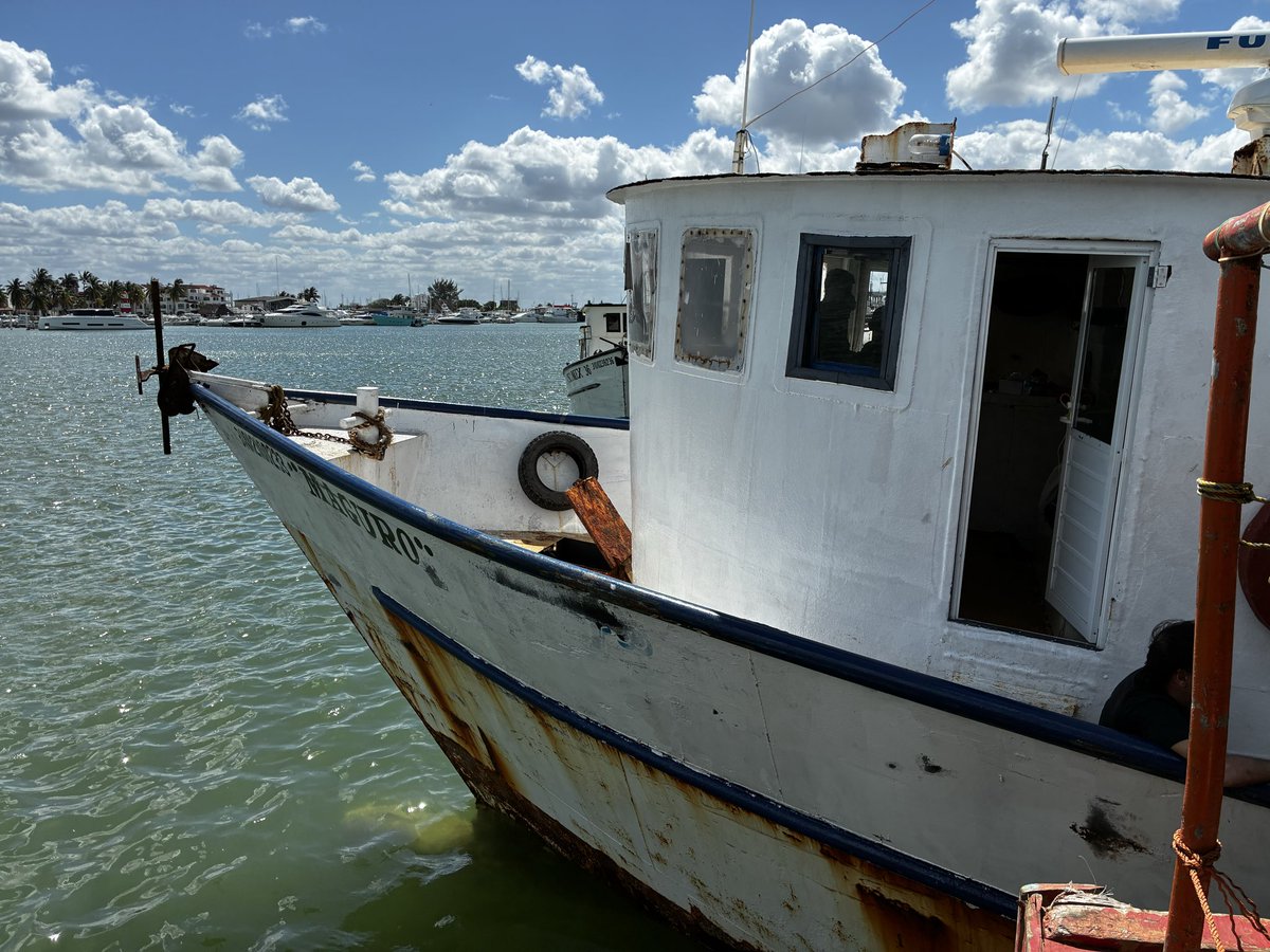 Manuel Varese Cabrera tweet media