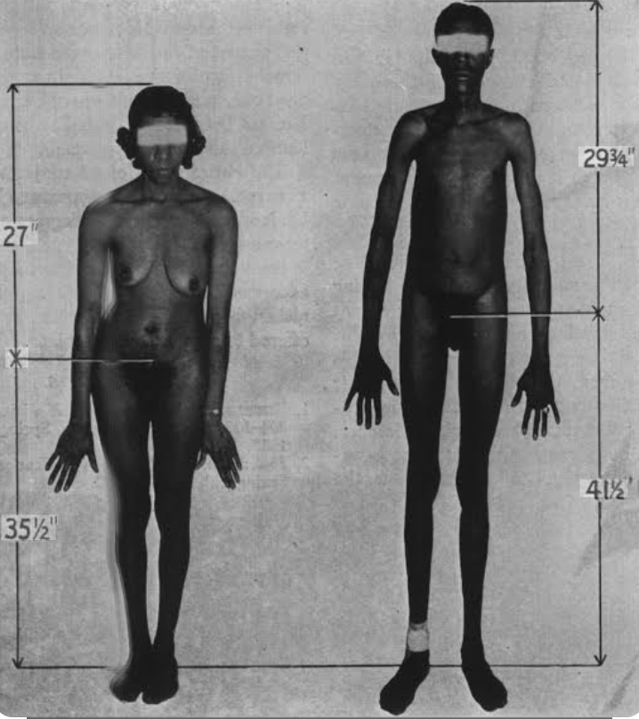 Variana Volk tweet media