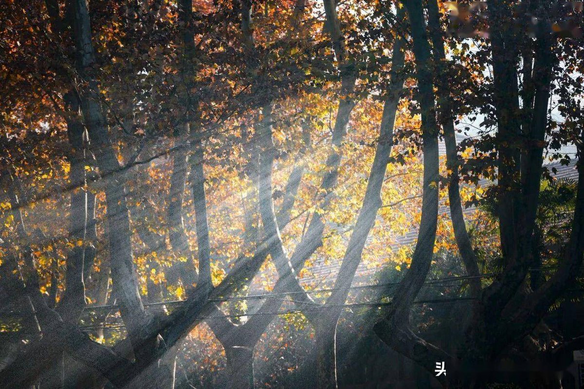 Ayodeji aziz tweet media