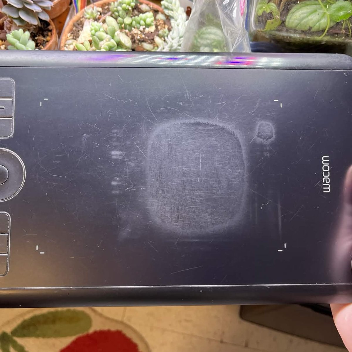 pickles 👹💌 tweet media