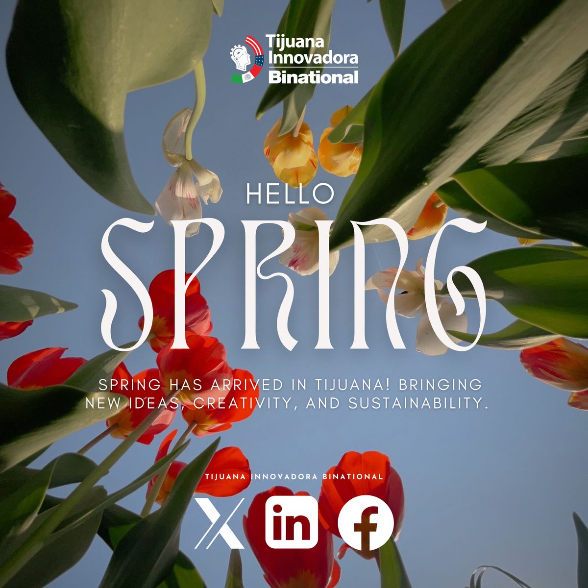 TI Binational tweet media