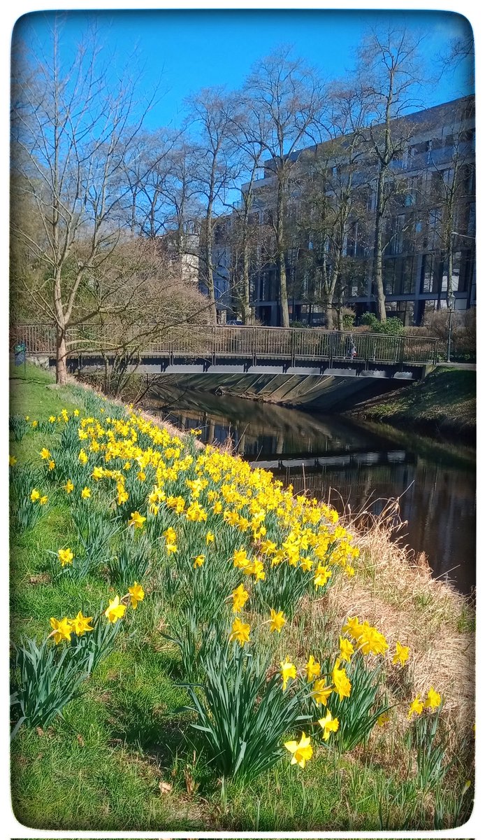 Blümchen 🌺🏡💚🌻 (✿☉｡☉) tweet media