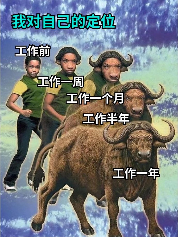 Christoffer tweet media