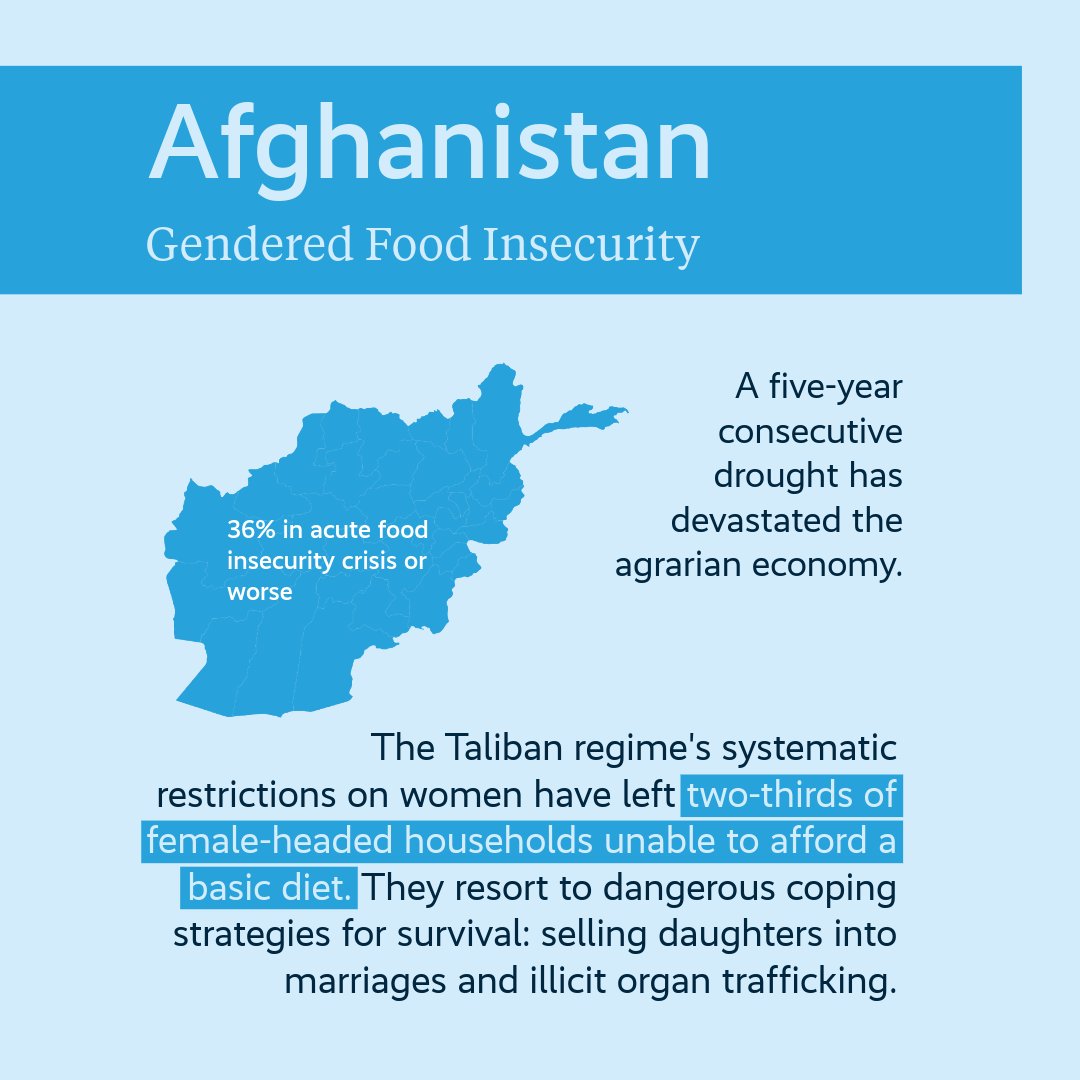 Munich Security Conference tweet media