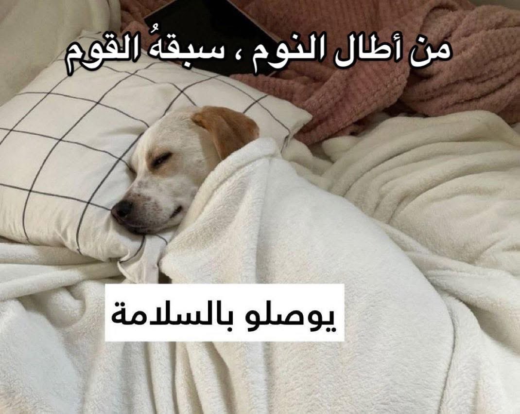 بتر الخواطر (@batrelkhawater) on Twitter photo 