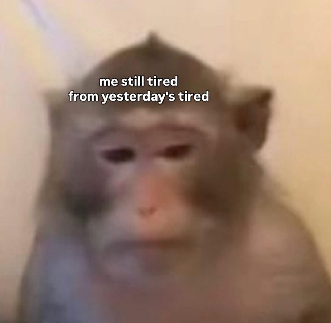 raccoon aesthetic. tweet media