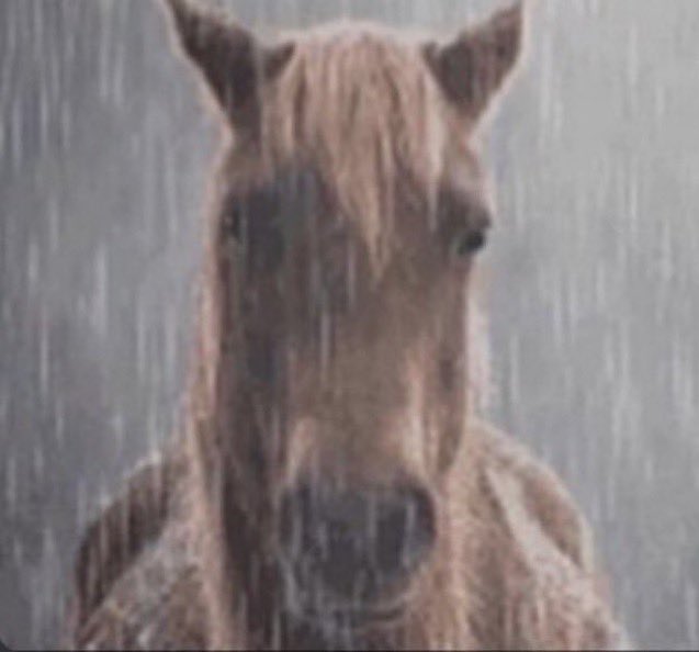 yaffa (*´▽`*) 🍉 tweet media