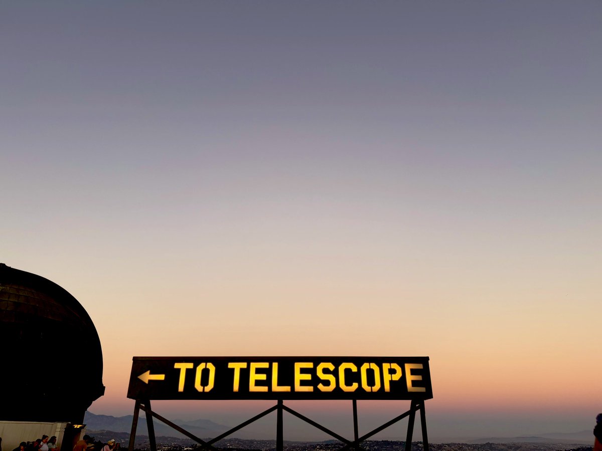 PlantySnatcher tweet media