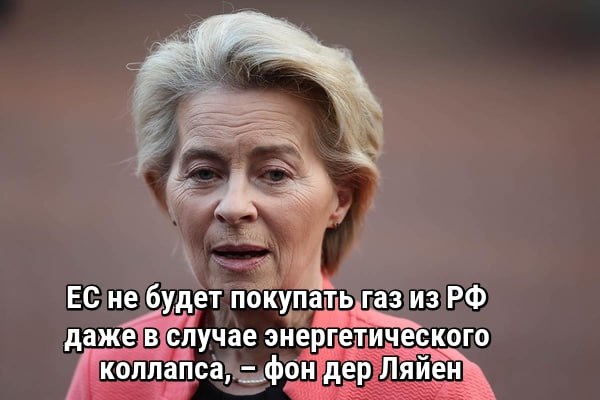 Danil Kardashov tweet media