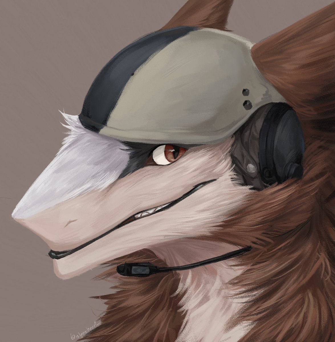 alpineheart_ tweet media