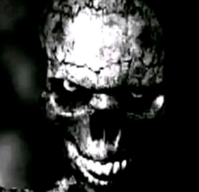 cuky 🖊️ tweet media