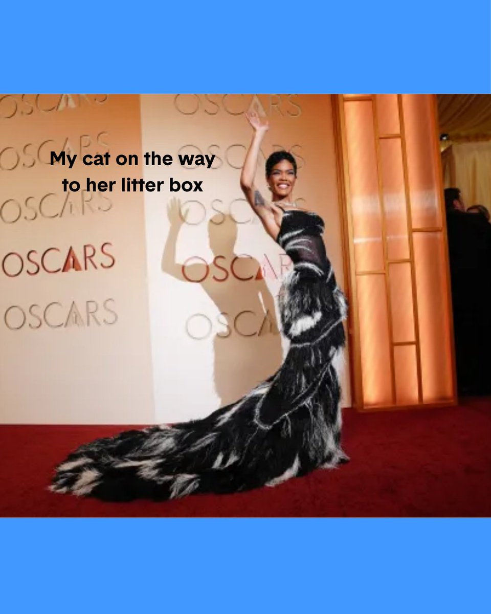 Boxiecat tweet media