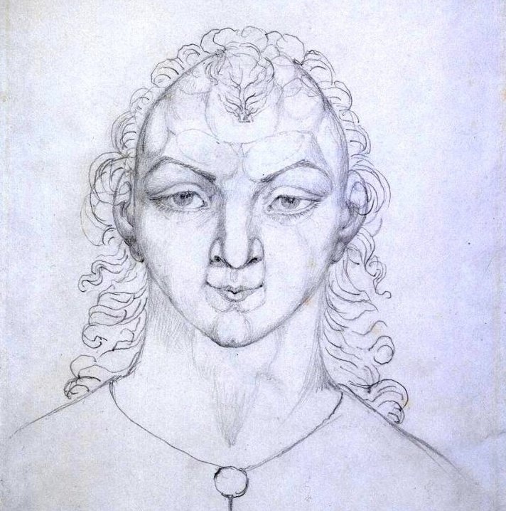 Albion Rose tweet media