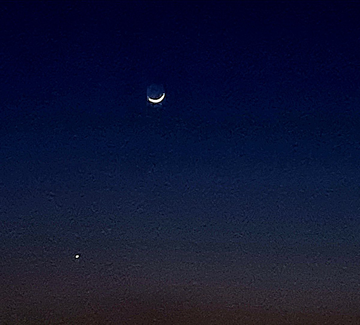 Ramo Bunić tweet media