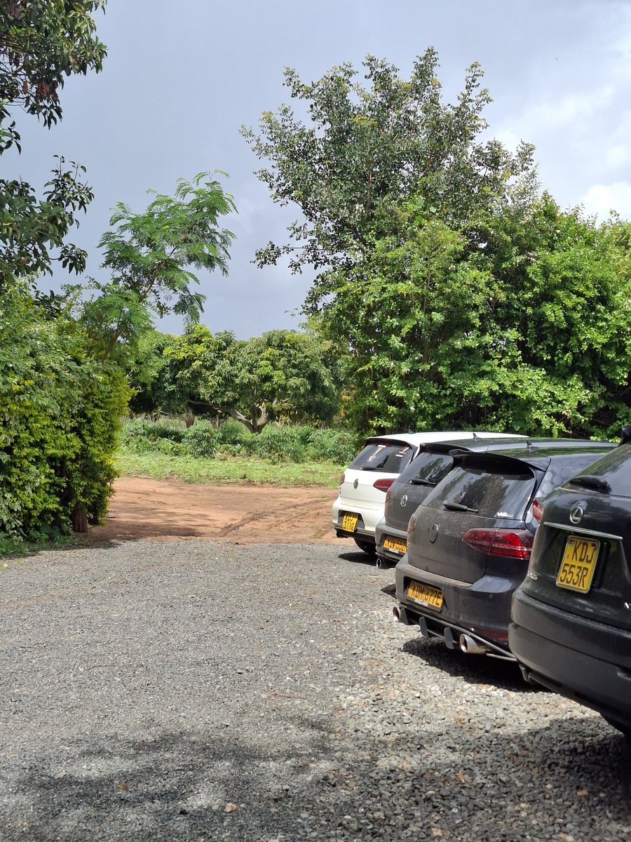 Jozi Man 🇿🇦 tweet media