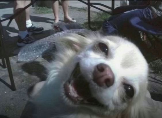 tumi. (❖,❖) tweet media