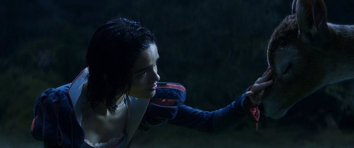 The Hollywood Handle tweet media