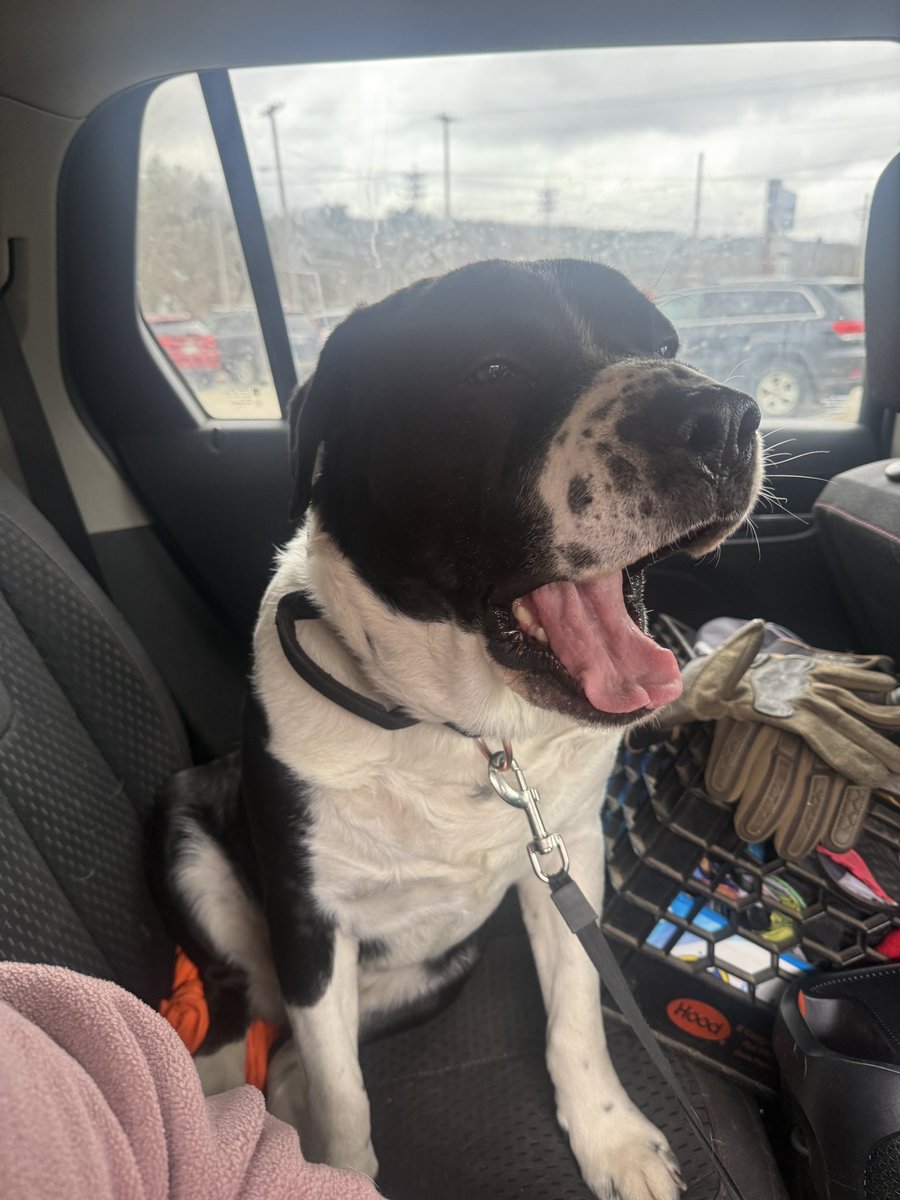 ✨ѕωєєт ℓ є є ƒ✨ tweet media