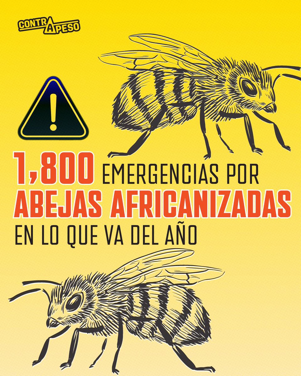 contrapesopanama tweet media