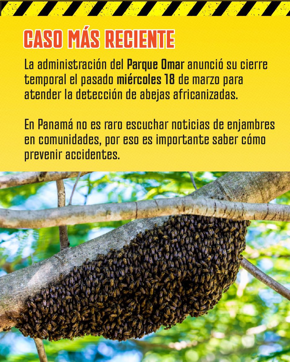 contrapesopanama tweet media