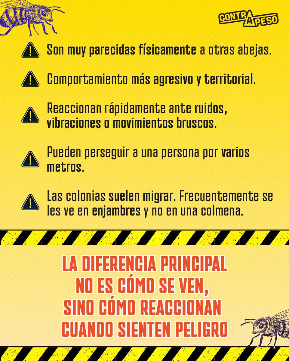 contrapesopanama tweet media