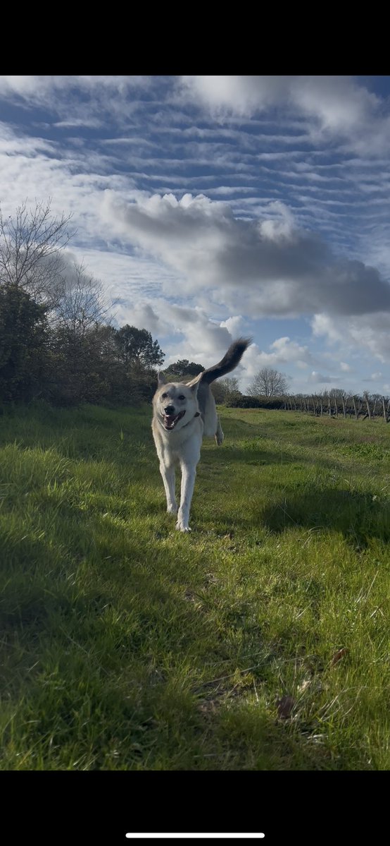 marinette 🪷 tweet media