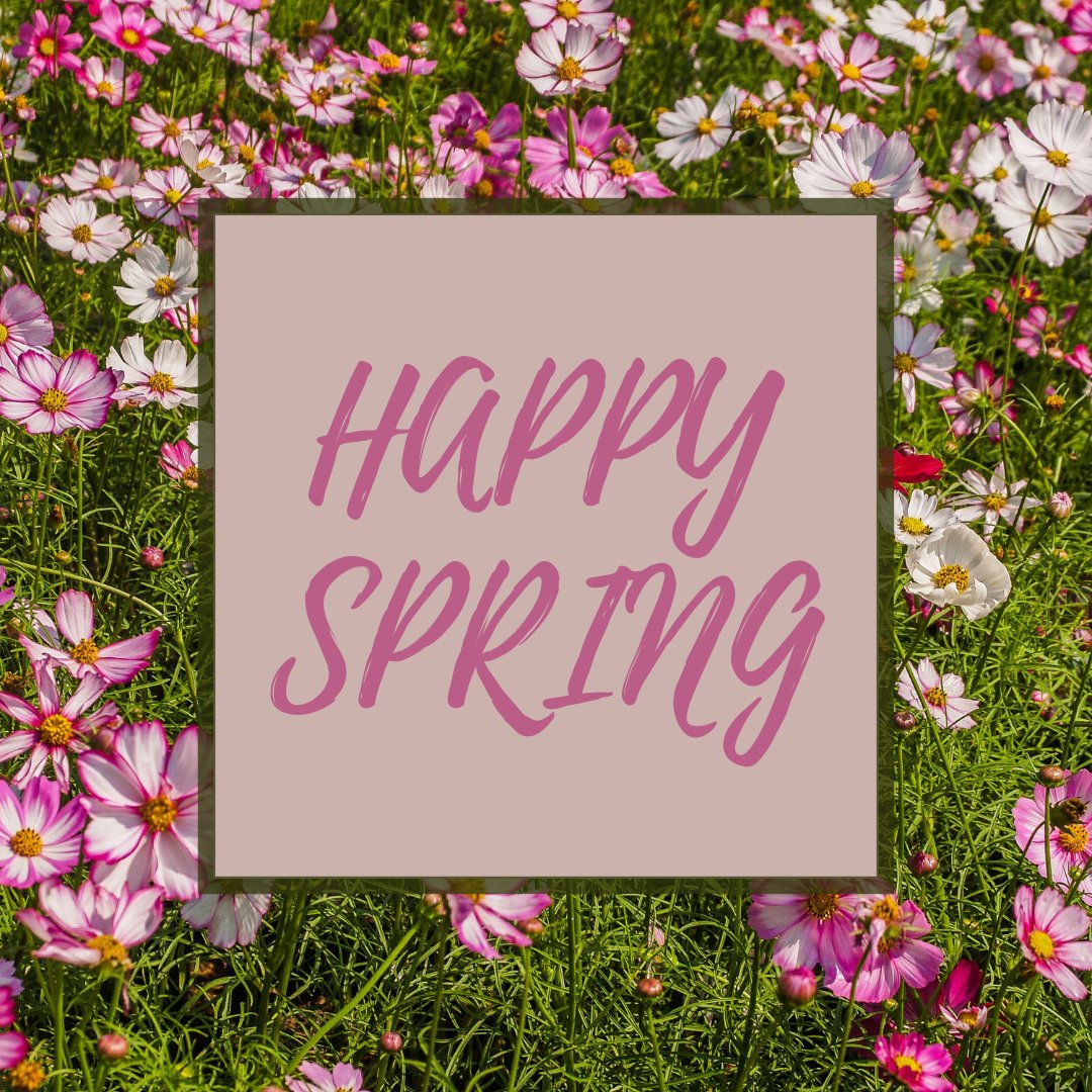 Hispanic Outlook tweet media